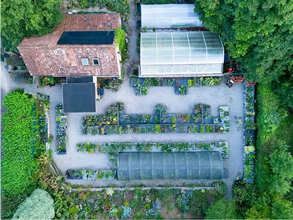 The Nursery