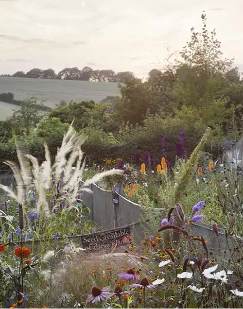 Plant Nursery